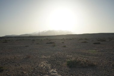 Kuraklığa dayanıklı bitki örtüsü ve elektrik nakil kulelerine sahip güzel manzara Costa Calma, Lomo del Granillo, Fuerteventura, Las Palmas, Kanarya Adaları, İspanya 'da yer almaktadır.. 
