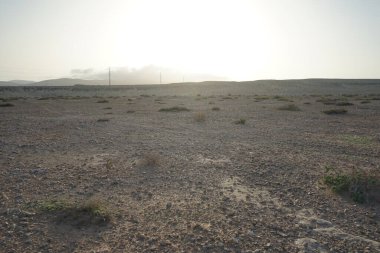 Kuraklığa dayanıklı bitki örtüsü ve elektrik nakil kulelerine sahip güzel manzara Costa Calma, Lomo del Granillo, Fuerteventura, Las Palmas, Kanarya Adaları, İspanya 'da yer almaktadır.. 
