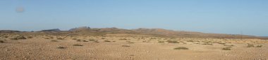 Fotoğraf panoraması. Kuraklığa dayanıklı bitki örtüsü ve elektrik nakil kulelerine sahip güzel manzara Costa Calma, Lomo del Granillo, Fuerteventura, Las Palmas, Kanarya Adaları, İspanya 'da yer almaktadır..  