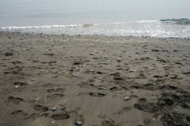 Ekim ayında Playa de Tarajalejo plajından Atlantik Okyanusu manzarası. Tarajalejo, Tuineje, Fuerteventura, Las Palmas, Kanarya Adaları, İspanya. 