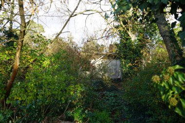 Kasım ayında bir sonbahar bahçesinde terk edilmiş eski bir bina yer almaktadır. Berlin, Almanya.