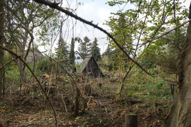 A wooden garden house stands among felled trees in November. Biesdorf, Marzahn-Hellersdorf, Berlin, Germany clipart