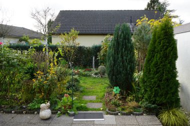 Kasım ayında sonbahar bitkilerine sahip bahçe Berlin, Almanya 'da yer almaktadır..