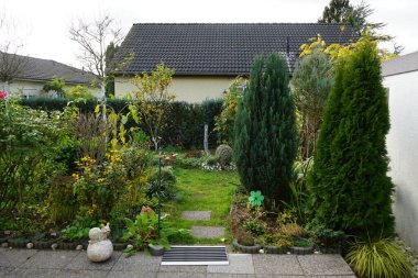 Kasım ayında sonbahar bitkilerine sahip bahçe Berlin, Almanya 'da yer almaktadır..