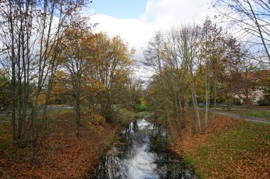 Kasım ayında sığ Wuhle Nehri sonbahar bitkileriyle çevrilidir. Wuhle, Spree 'nin küçük bir sağ kıyısı haracı. Berlin, Almanya. 