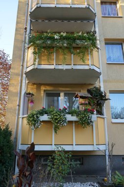 Bir kuş besleyicisi Kasım ayında çiçeklerle çevrili bir balkonda. Kuş besleyicisi, kuş masası veya tepsi besleyicisi, kuşlara kuş yemi sağlamak için açık havada yerleştirilen bir cihazdır. Berlin, Almanya 