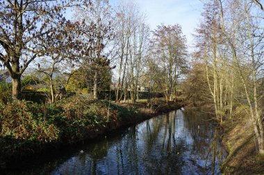 Mallard ördekleri Aralık ayında Wuhle Nehri 'nde yaşar. Yaban ördeği (