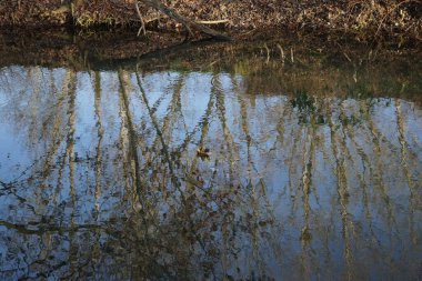 Aralık ayında dar Wuhle Nehri manzarası. Wuhle, Spree 'nin küçük bir sağ kıyısı haracı. Berlin, Almanya.