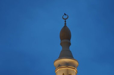 Nisan 'da Khor Fakkan' da Al Emam Yahya bin Abi Katheer Camii 'nin minaresinde bulunan Corvus görkemli kuş görülüyor. Ev kargası, Corvus splendens, Kızılderili, gri boyunlu, Seylan veya Colombo karga, karga familyasından bir kuş türü. Şeriat, Birleşik Arap Emirlikleri. 