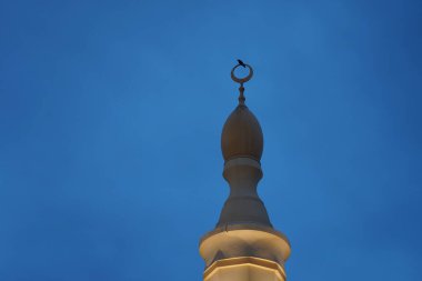 Nisan 'da Khor Fakkan' da Al Emam Yahya bin Abi Katheer Camii 'nin minaresinde bulunan Corvus görkemli kuş görülüyor. Ev kargası, Corvus splendens, Kızılderili, gri boyunlu, Seylan veya Colombo karga, karga familyasından bir kuş türü. Şeriat, Birleşik Arap Emirlikleri. 