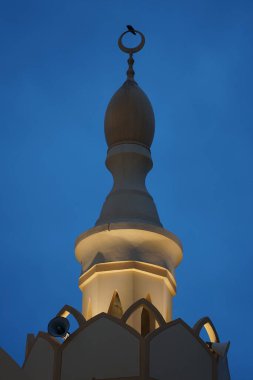 Nisan 'da Khor Fakkan' da Al Emam Yahya bin Abi Katheer Camii 'nin minaresinde bulunan Corvus görkemli kuş görülüyor. Ev kargası, Corvus splendens, Kızılderili, gri boyunlu, Seylan veya Colombo karga, karga familyasından bir kuş türü. Şeriat, Birleşik Arap Emirlikleri. 