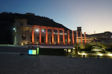 Khor Fakkan, Sharjah, Birleşik Arap Emirlikleri - 18 Nisan 2023: Akşamları Khor Fakkan 'daki amfitiyatronun karşısında yer alan KHORFAKKAN AMPHITHEATRE şeklinde çiçek tarlalarının yanında siyah beyaz bir kedi yürüyor.
