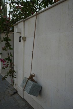 İpte taş şeklinde bir ağırlık, çiçekli tırmanma bitkisi Bougainvillea glabra 'yı çite doğru çeker. Bougainvillea glabra, küçük bougainvillea, kartonpiyerin en yaygın türüdür. Khor Fakkan, Sharjah, BAE. 