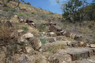 Nisan ayında bitki örtüsü bulunan güzel dağ manzarası Khor Fakkan, Sharjah, Birleşik Arap Emirlikleri 'nin yakınlarında yer almaktadır.. 