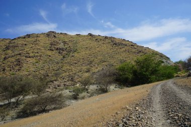 Nisan ayında bitki örtüsü bulunan güzel dağ manzarası Khor Fakkan, Sharjah, Birleşik Arap Emirlikleri 'nin yakınlarında yer almaktadır.. 
