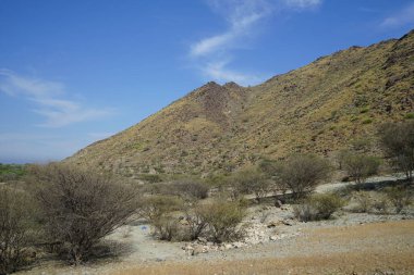 Nisan ayında bitki örtüsü bulunan güzel dağ manzarası Khor Fakkan, Sharjah, Birleşik Arap Emirlikleri 'nin yakınlarında yer almaktadır.. 