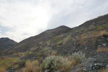 Nisan ayında bitki örtüsü bulunan güzel dağ manzarası Khor Fakkan, Sharjah, Birleşik Arap Emirlikleri 'nin yakınlarında yer almaktadır.. 