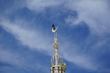 Tristis kuşu Nisan 'da ALBUSTAN MOSQUE' nin minaresinde oturur. Acridotheres tristis, Sturnidae familyasından bir kuş türü. Khor Fakkan, Sharjah, BAE. 