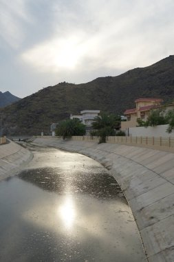 Himantopus himantopus kuşları Nisan ayında su kanalında. Kara kanatlı stilt, Himantopus himantopus, avocet ve stilt familyasında yaygın olarak bulunan bir yağmurluktur. Sharjah, BAE.                                