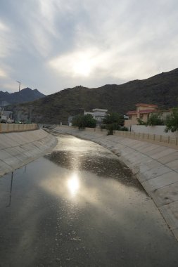 Himantopus himantopus kuşları Nisan ayında su kanalında. Kara kanatlı stilt, Himantopus himantopus, avocet ve stilt familyasında yaygın olarak bulunan bir yağmurluktur. Sharjah, BAE.                                