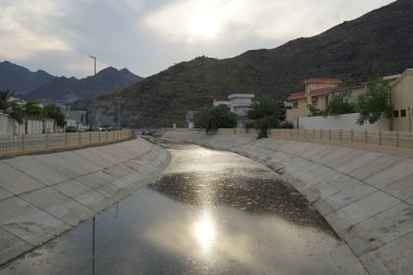 Himantopus himantopus kuşları Nisan ayında su kanalında. Kara kanatlı stilt, Himantopus himantopus, avocet ve stilt familyasında yaygın olarak bulunan bir yağmurluktur. Sharjah, BAE.                                