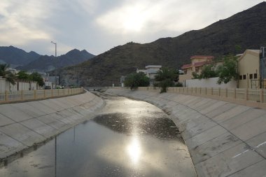 Himantopus himantopus kuşları Nisan ayında su kanalında. Kara kanatlı stilt, Himantopus himantopus, avocet ve stilt familyasında yaygın olarak bulunan bir yağmurluktur. Sharjah, BAE.                                
