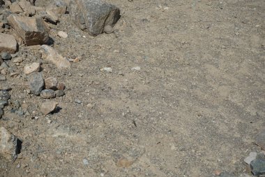 Sphingonotus rubescens Nisan ayında kumlu bir zeminde oturur. Sphingonotus rubescens, bant kanatlı bir çekirge türüdür. Khor Fakkan, Sharjah, Birleşik Arap Emirlikleri.   