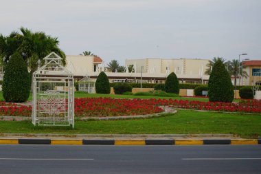 Nisan 'da Catharanthus güllerinin çiçek açtığı bir çiçek tarhının yanında akşam ışıklandırması yapan dekoratif çardaklar. Catharanthus roseus, parlak gözlü, Cape menekşe, mezarlık bitkisi, Madagaskar menekşesi, çiçekli bir bitki türüdür. Khor Fakkan, BAE.