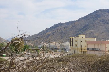 Khor Fakkan, Sharjah, Birleşik Arap Emirlikleri - 19 Nisan 2023: Nisan 'da Khor Fakkan şehrinde binalar ve ilkbahar bitkileri yer almaktadır. Khor Fakkan, Şeriat Emirliği 'nin doğu kıyısında yer alan bir şehirdir..