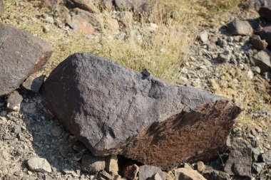 Sphingonotus rubescens Nisan ayında taşlı bir zeminde oturur. Sphingonotus rubescens, bant kanatlı bir çekirge türüdür. Khor Fakkan, Sharjah, Birleşik Arap Emirlikleri.                                  