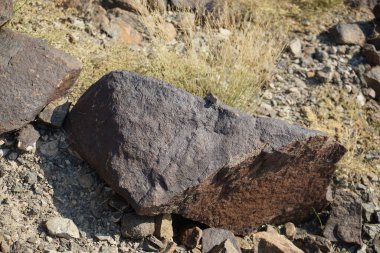 Sphingonotus rubescens Nisan ayında taşlı bir zeminde oturur. Sphingonotus rubescens, bant kanatlı bir çekirge türüdür. Khor Fakkan, Sharjah, Birleşik Arap Emirlikleri.                                  