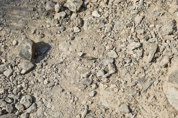 Sphingonotus rubescens Nisan ayında taşlı bir zeminde oturur. Sphingonotus rubescens, bant kanatlı bir çekirge türüdür. Khor Fakkan, Sharjah, Birleşik Arap Emirlikleri.                                  