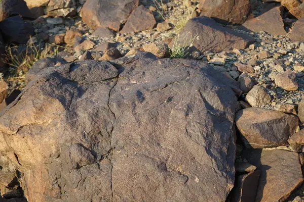 Sphingonotus rubescens Nisan ayında taşlı bir zeminde oturur. Sphingonotus rubescens, bant kanatlı bir çekirge türüdür. Khor Fakkan, Sharjah, Birleşik Arap Emirlikleri.                                  