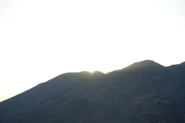 Khor Fakkan 'daki Al Suwaifa Yürüyüş Yolu' ndan Vachellia tortilis ile dağların arkasındaki günbatımı manzarası. Vachellia tortilis (