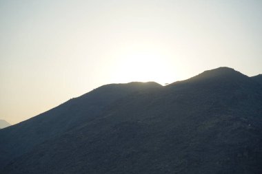Khor Fakkan 'daki Al Suwaifa Yürüyüş Yolu' ndan Vachellia tortilis ile dağların arkasındaki günbatımı manzarası. Vachellia tortilis (