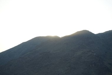 Khor Fakkan 'daki Al Suwaifa Yürüyüş Yolu' ndan Vachellia tortilis ile dağların arkasındaki günbatımı manzarası. Vachellia tortilis (