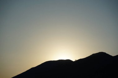 Khor Fakkan 'daki Al Suwaifa Yürüyüş Yolu' ndan Vachellia tortilis ile dağların arkasındaki günbatımı manzarası. Vachellia tortilis (