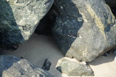 Nisan ayında Khor Fakkan kıyı şeridindeki Umman Körfezi taşkın bölgesinde kayalarda yaşayan kabuklu deniz ürünleri ve kalori fosilleri bulundu. Kabuklu deniz hayvanları, dış iskelet taşıyan su omurgasızlarıdır. Şeriat, Birleşik Arap Emirlikleri.