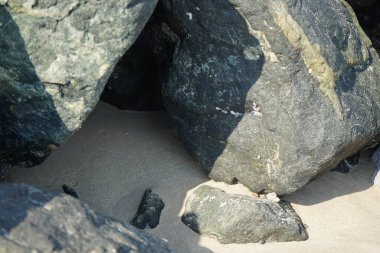 Nisan ayında Khor Fakkan kıyı şeridindeki Umman Körfezi taşkın bölgesinde kayalarda yaşayan kabuklu deniz ürünleri ve kalori fosilleri bulundu. Kabuklu deniz hayvanları, dış iskelet taşıyan su omurgasızlarıdır. Şeriat, Birleşik Arap Emirlikleri.