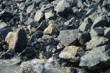 Nisan ayında Khor Fakkan kıyı şeridindeki Umman Körfezi taşkın bölgesinde kayalarda yaşayan kabuklu deniz ürünleri ve kalori fosilleri bulundu. Kabuklu deniz hayvanları, dış iskelet taşıyan su omurgasızlarıdır. Şeriat, Birleşik Arap Emirlikleri.