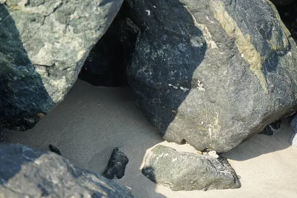 Nisan ayında Khor Fakkan kıyı şeridindeki Umman Körfezi taşkın bölgesinde kayalarda yaşayan kabuklu deniz ürünleri ve kalori fosilleri bulundu. Kabuklu deniz hayvanları, dış iskelet taşıyan su omurgasızlarıdır. Şeriat, Birleşik Arap Emirlikleri.
