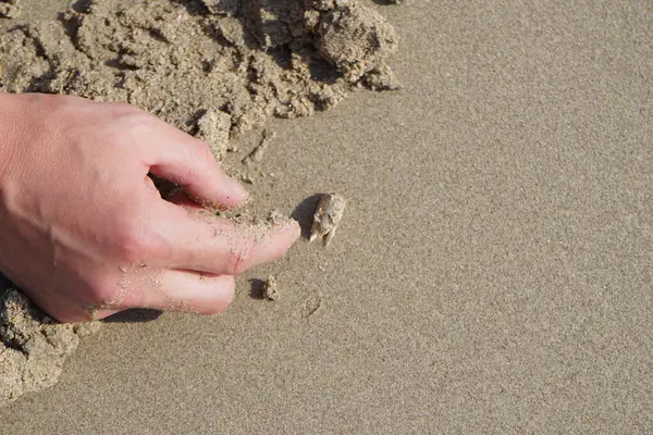 Emerita Emerita adlı bir kum yengeci Nisan ayında Khor Fakkan Sahili 'nin kumlarında oturur. Emerita decapod kabukluların, köstebek yengeçlerin, kum kemancılarının, kum pirelerinin veya kum yengeçlerinin küçük bir cinsidir. Khor Fakkan, Sharjah, BAE.                               