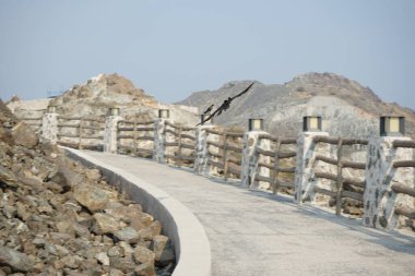 Corvus 'un görkemli kuşları Khor Fakkan' daki Al Adwani Kulesi civarında bulunur. Ev kargası, Corvus splendens, karga familyasının yaygın bir kuşudur. Sharjah, BAE.