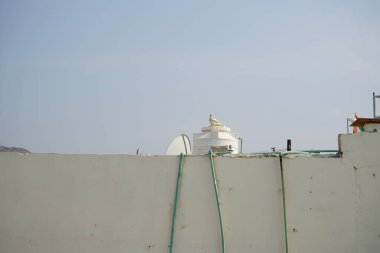 Columba Livia güvercinleri Nisan ayında Khor Fakkan 'da bir binanın çatısında otururlar. Kaya güvercini, Columba livya, Columbidae kuş familyasının bir üyesidir. Sharjah, BAE.