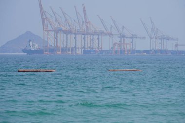 Nisan ayında Khor Fakkan Sahili 'ndeki Umman Körfezi sularındaki şamandıralarda terler ve martılar bulunur. Deniz kuşları, deniz kuşları, deniz ortamında hayata adapte olmuş kuşlardır. Khor Fakkan, Sharjah, BAE.                                