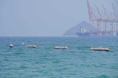 Nisan ayında Khor Fakkan Sahili 'ndeki Umman Körfezi sularındaki şamandıralarda terler ve martılar bulunur. Deniz kuşları, deniz kuşları, deniz ortamında hayata adapte olmuş kuşlardır. Khor Fakkan, Sharjah, BAE.                                