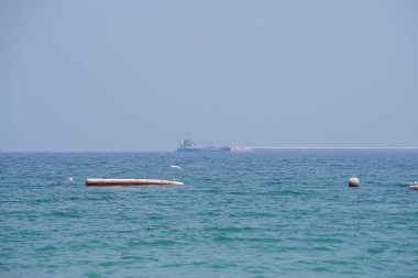 Nisan ayında Khor Fakkan Sahili 'ndeki Umman Körfezi sularındaki şamandıralarda terler ve martılar bulunur. Deniz kuşları, deniz kuşları, deniz ortamında hayata adapte olmuş kuşlardır. Khor Fakkan, Sharjah, BAE.                                