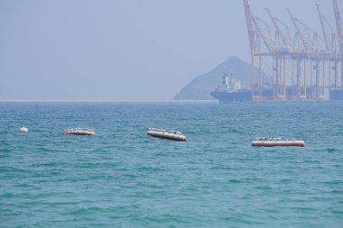 Nisan ayında Khor Fakkan Sahili 'ndeki Umman Körfezi sularındaki şamandıralarda terler ve martılar bulunur. Deniz kuşları, deniz kuşları, deniz ortamında hayata adapte olmuş kuşlardır. Khor Fakkan, Sharjah, BAE.                                