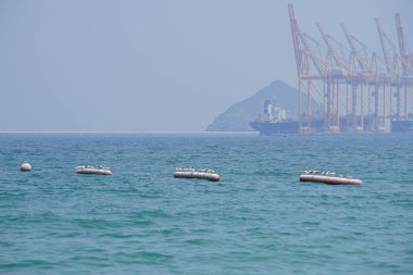 Nisan ayında Khor Fakkan Sahili 'ndeki Umman Körfezi sularındaki şamandıralarda terler ve martılar bulunur. Deniz kuşları, deniz kuşları, deniz ortamında hayata adapte olmuş kuşlardır. Khor Fakkan, Sharjah, BAE.                                