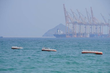 Nisan ayında Khor Fakkan Sahili 'ndeki Umman Körfezi sularındaki şamandıralarda terler ve martılar bulunur. Deniz kuşları, deniz kuşları, deniz ortamında hayata adapte olmuş kuşlardır. Khor Fakkan, Sharjah, BAE.                                